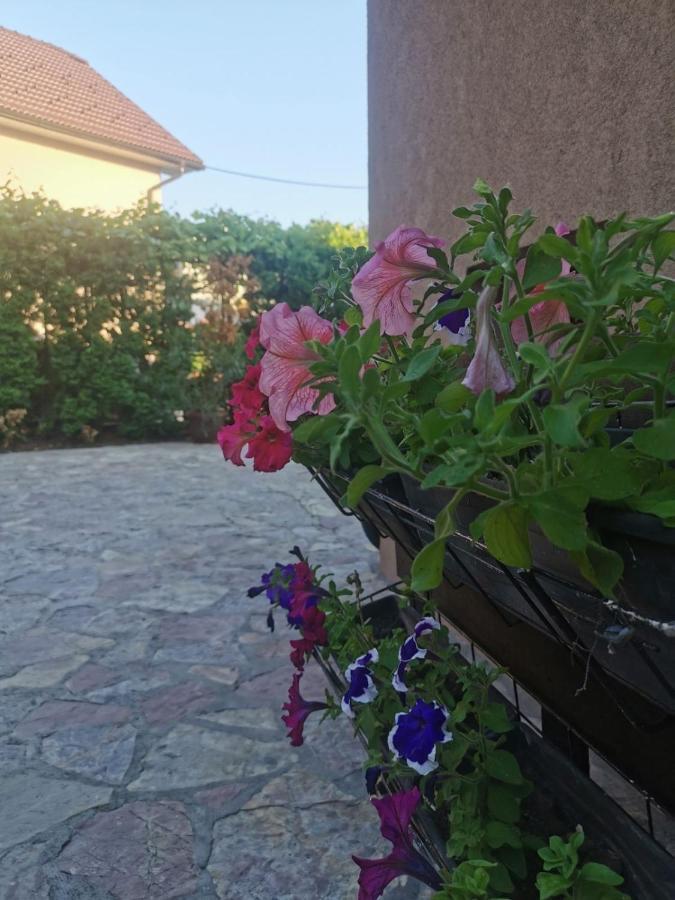House Leyla Hotel Bihac Exterior photo